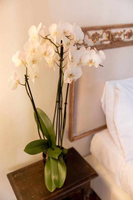 Firenze Rentals Suite Art מראה חיצוני תמונה
